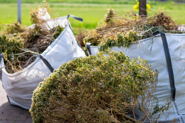Best Construction Debris Removal  in Litchfield, IL